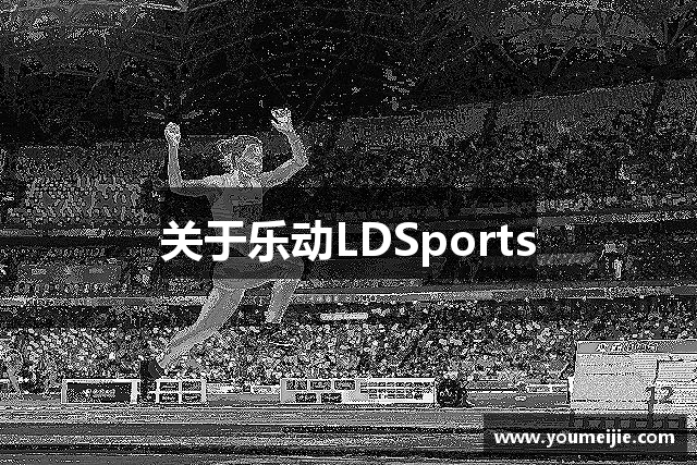 关于乐动LDSports